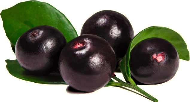 Creme de Açaí produzido pela Distribuidora Viver Açaí